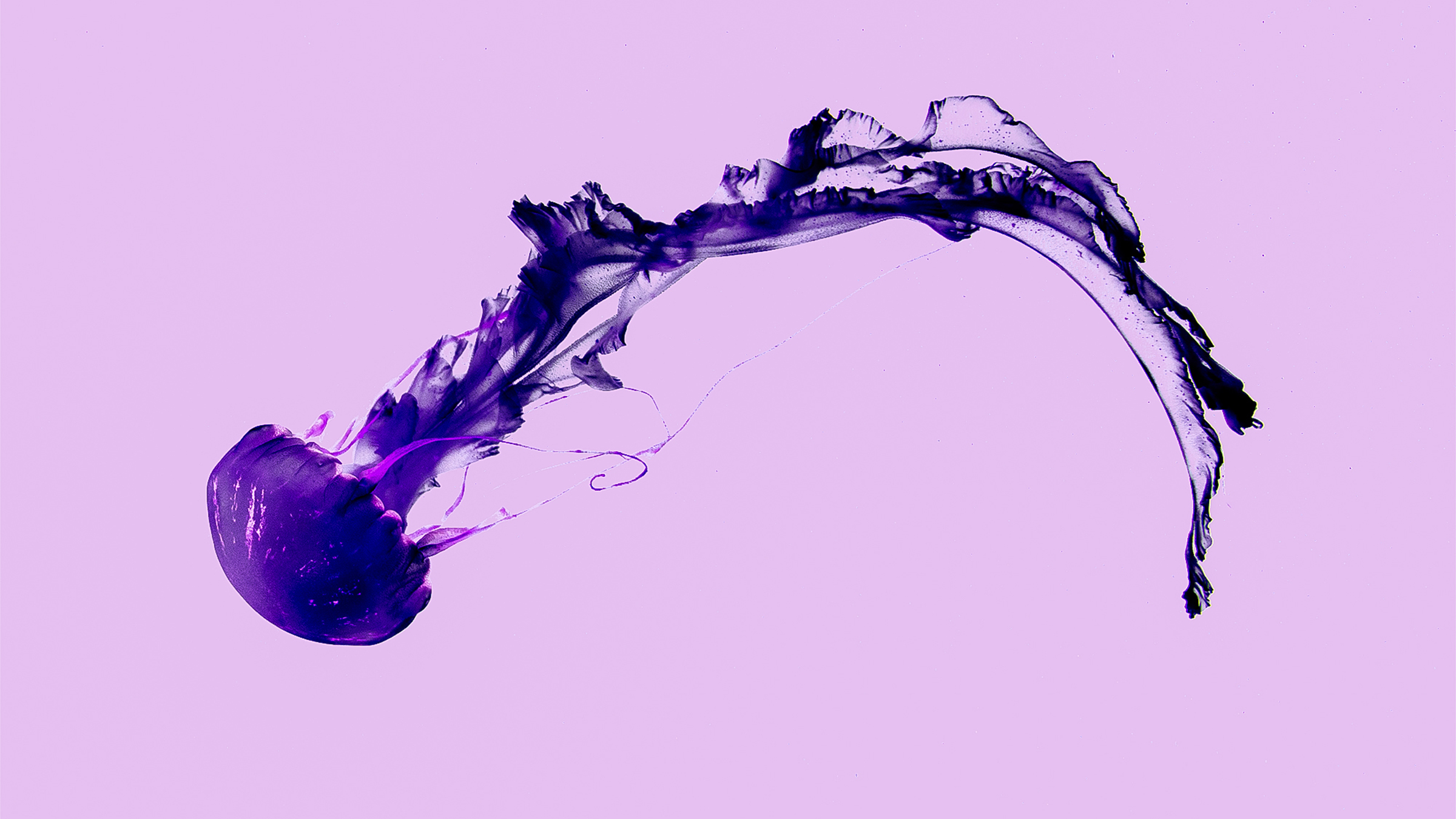 Ultra Violet