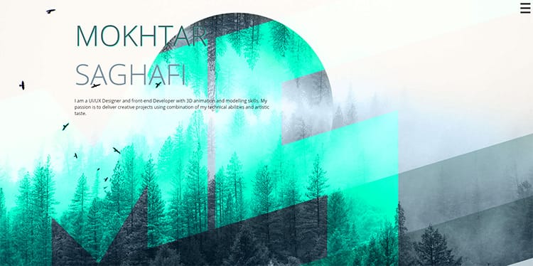 Mokhtar Saghafi portfolio