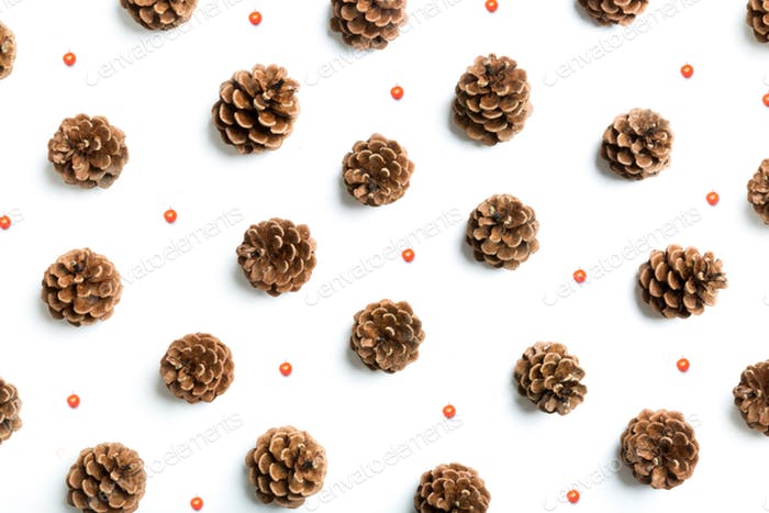 pine corn flat lay