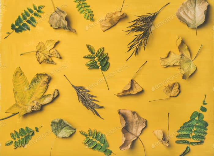 leaves flat lay