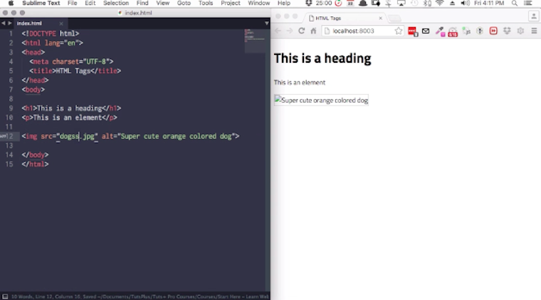 Start Here: Learn HTML Basics