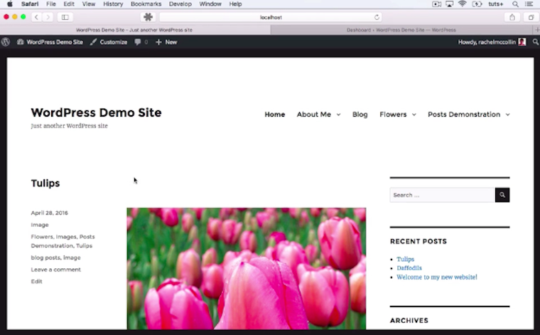 Create Content in WordPress with Posts and Pages