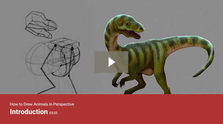 How to Draw Animals in Perspective 
