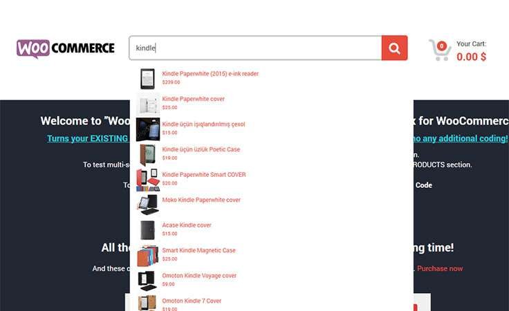 WooCommerce search box plugin
