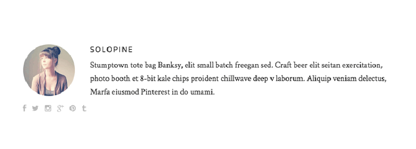 Hemlock - A Responsive WordPress Blog Theme  features author bios that are simple and elegant. 