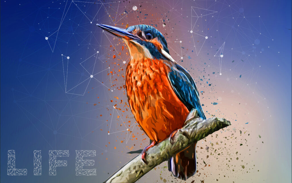 Kingfisher by LeAmino