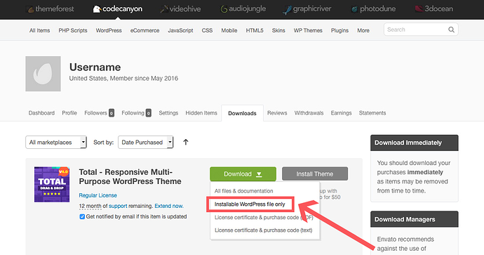 Common Error: Downloading the Wrong Theme Zip File