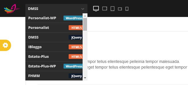 DMSS Style Switcher