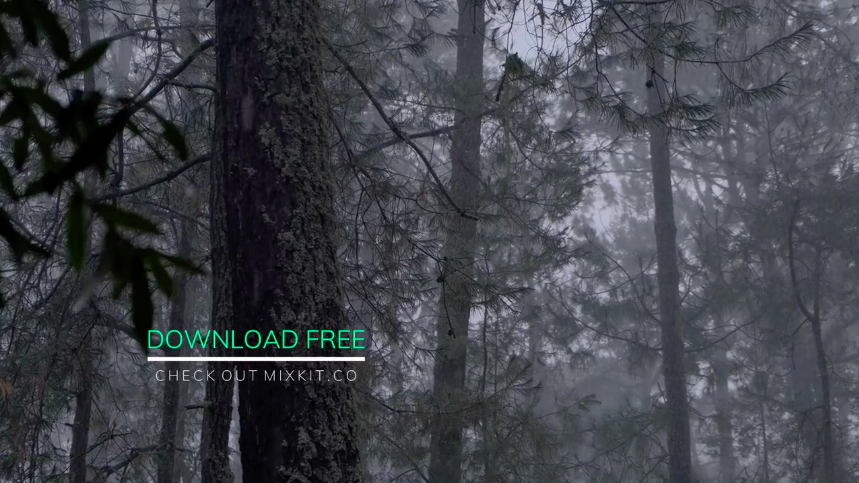 Line Drop Lower Third