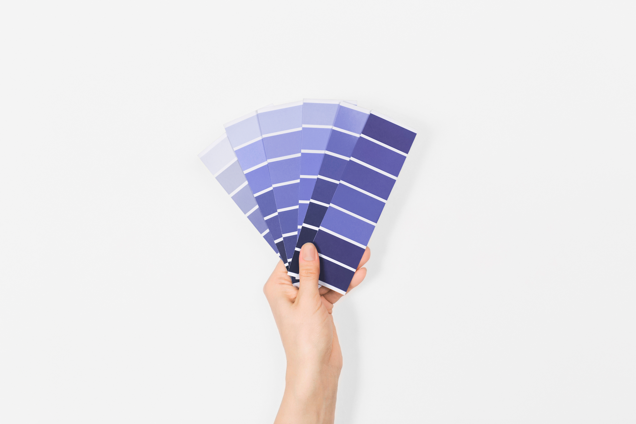 Website Color Palettes
