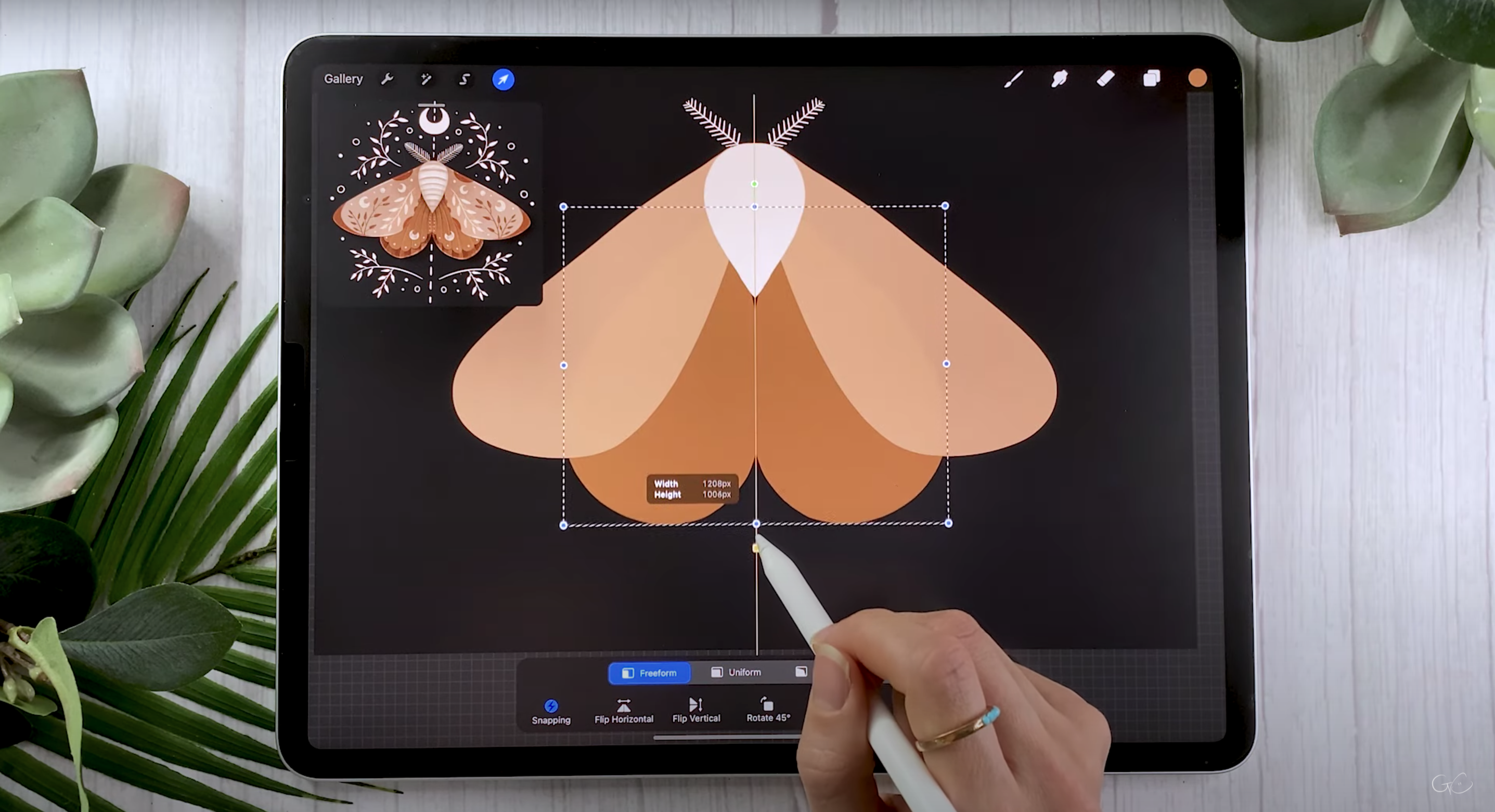 Every Tuesday creating her Magical Moth Illustration in Procreate