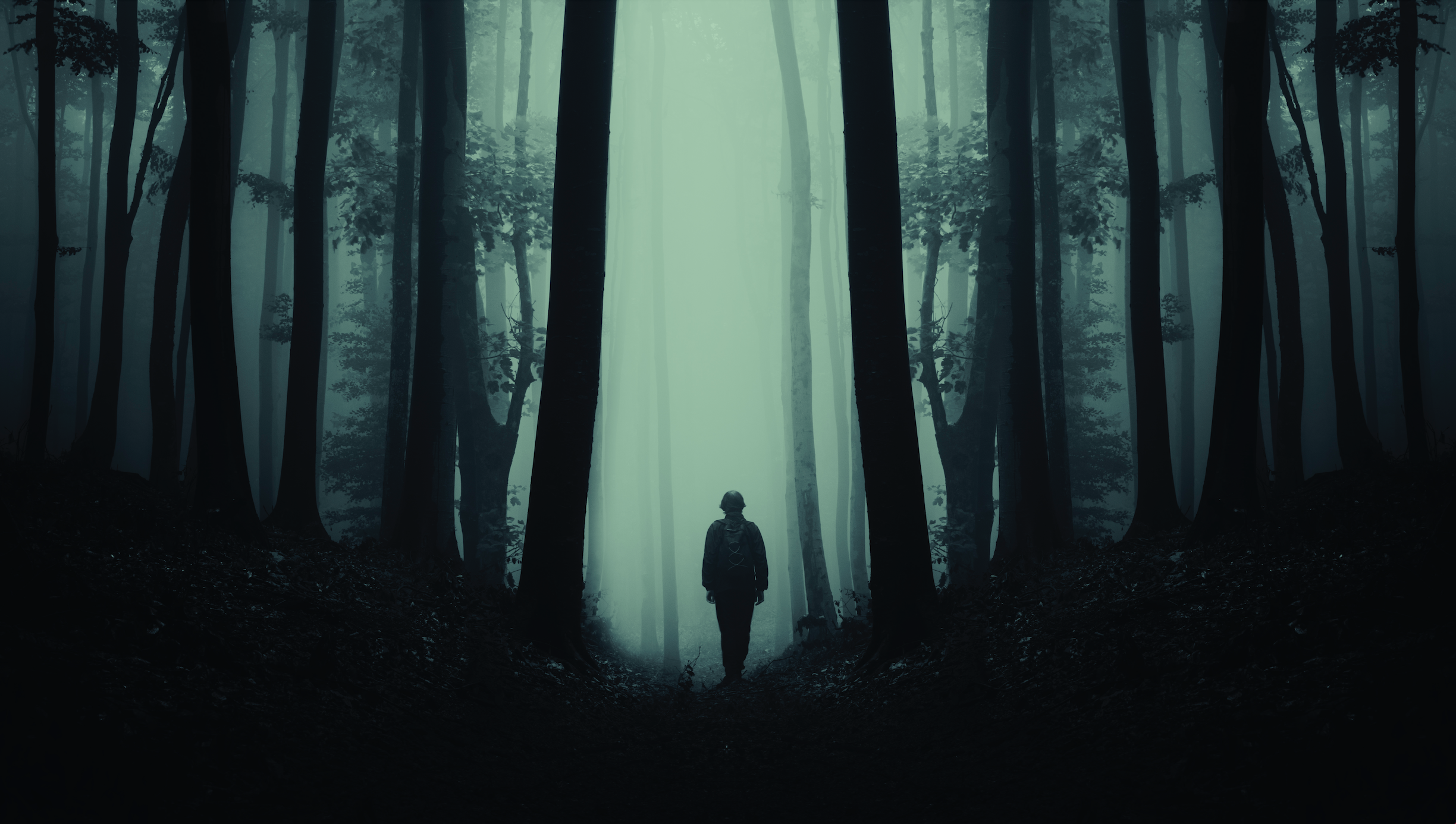 Dark mysterious silhouette in scary forest by andreiuc88