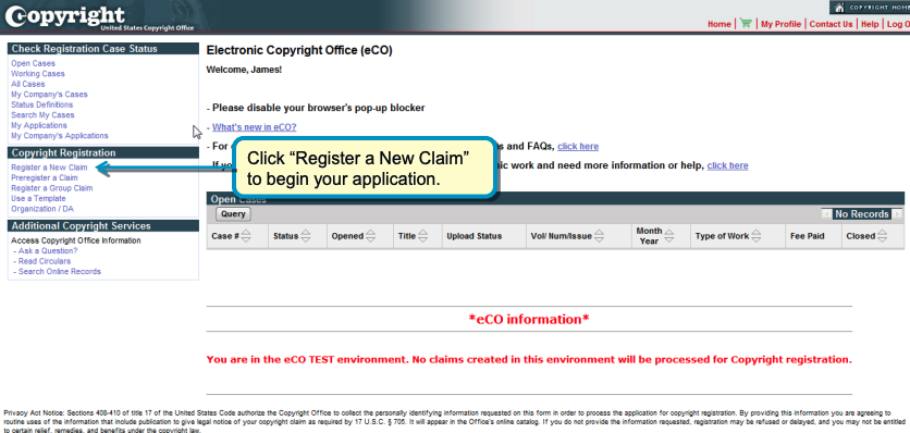 application for a basic registration