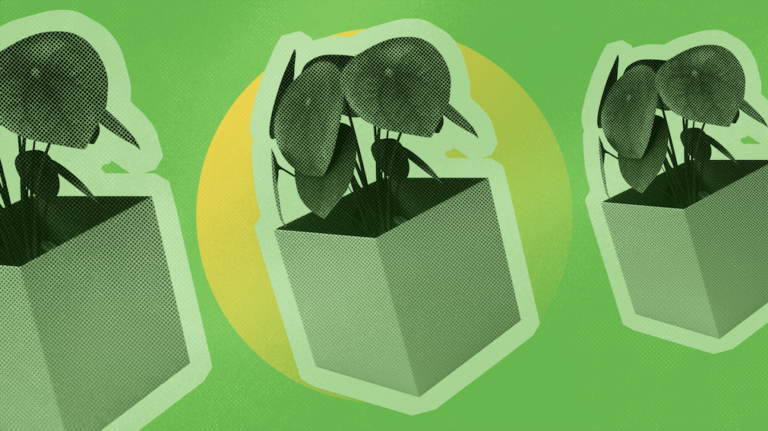 Designing with Impact – How to Leverage Sustainable Practices for Product Design
