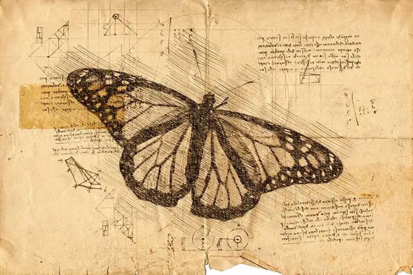 Da Vinci Sketch Photoshop Action, Actions and Presets Including: artistic & drawing - Envato Elements(opens in a new tab)