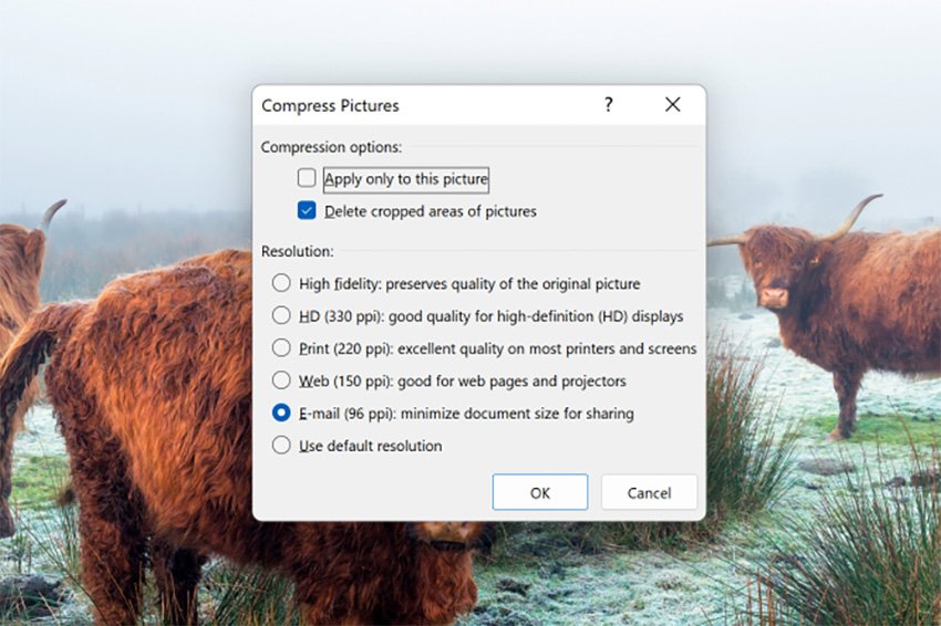 Compress Pictures menu