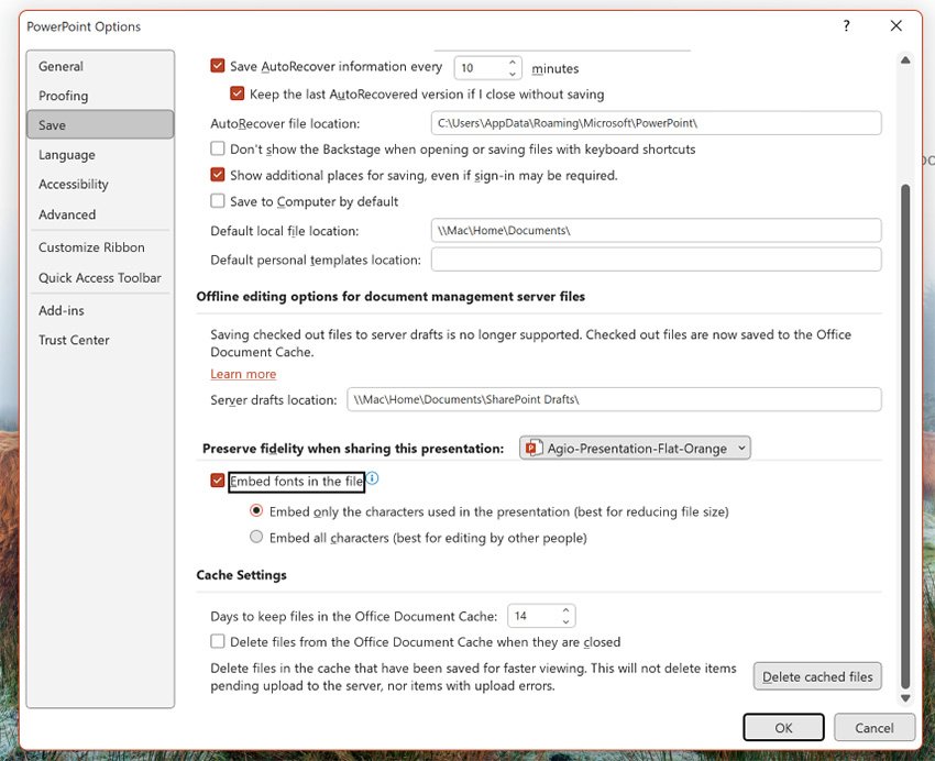 ppt save options