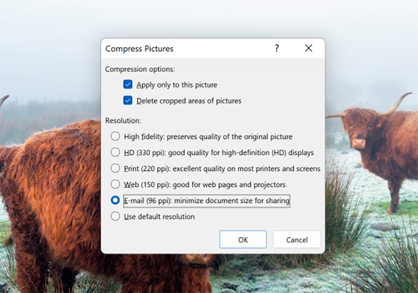 compression options