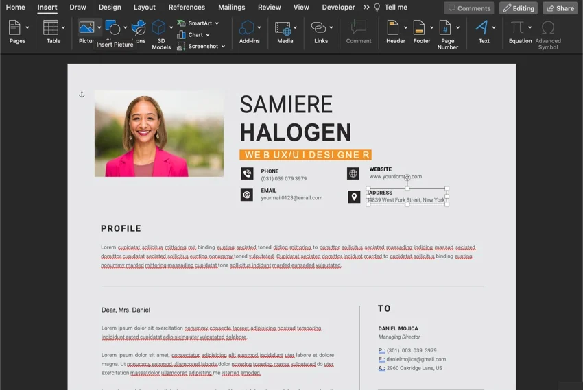 insert image in word