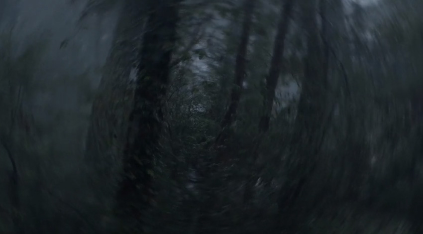 Twist Wheel Transition