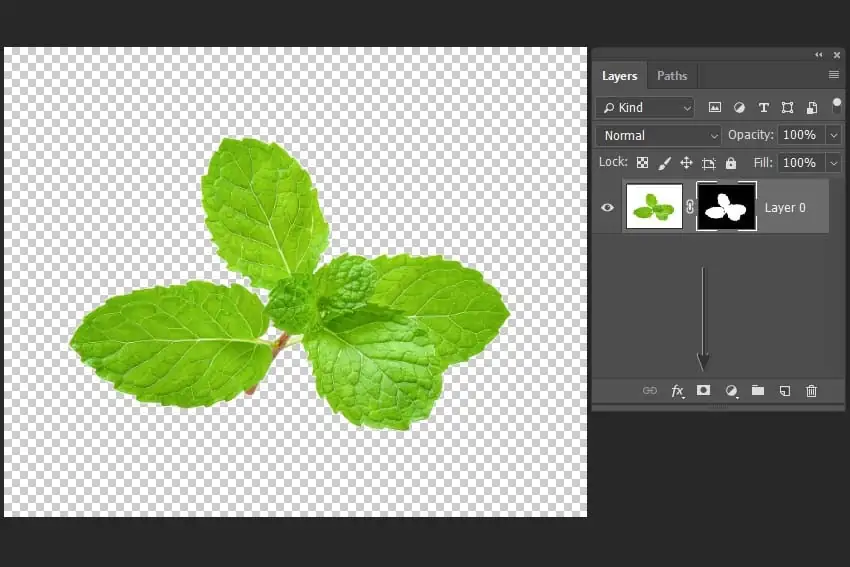 adding a mask to cut out the image
