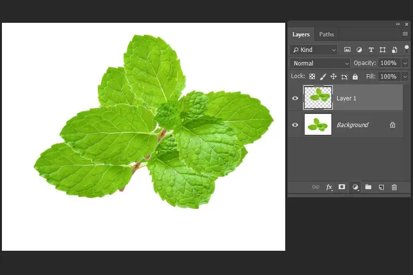 cutting the image