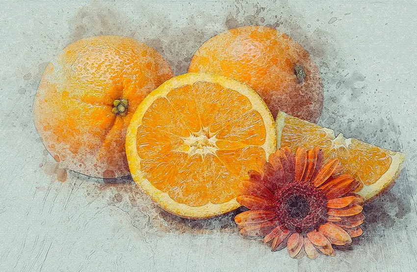 Congratulations, you have succeeded! You've learned how to make a watercolor effect in Photoshop