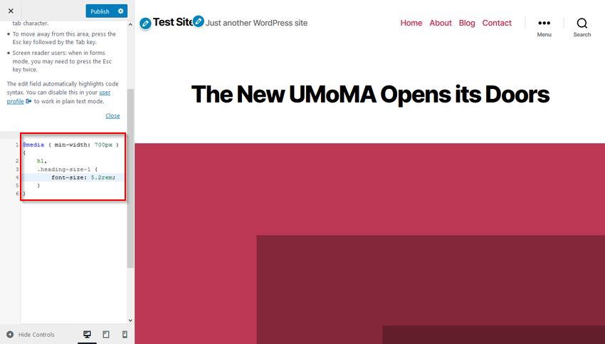 add css to customizer