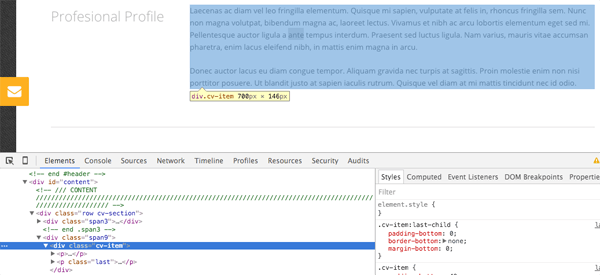 cv text highlighted