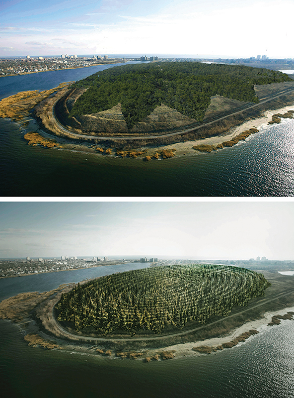 A FOREST FOR NEW YORK - A PEACE PARK FOR MIND AND SOUL