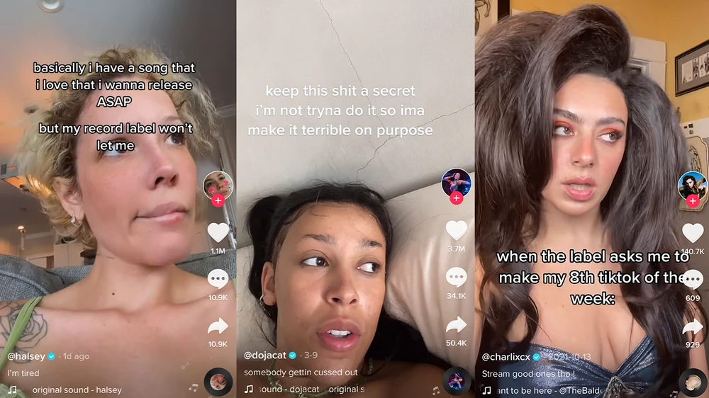 TikTok music artists, source: Vice