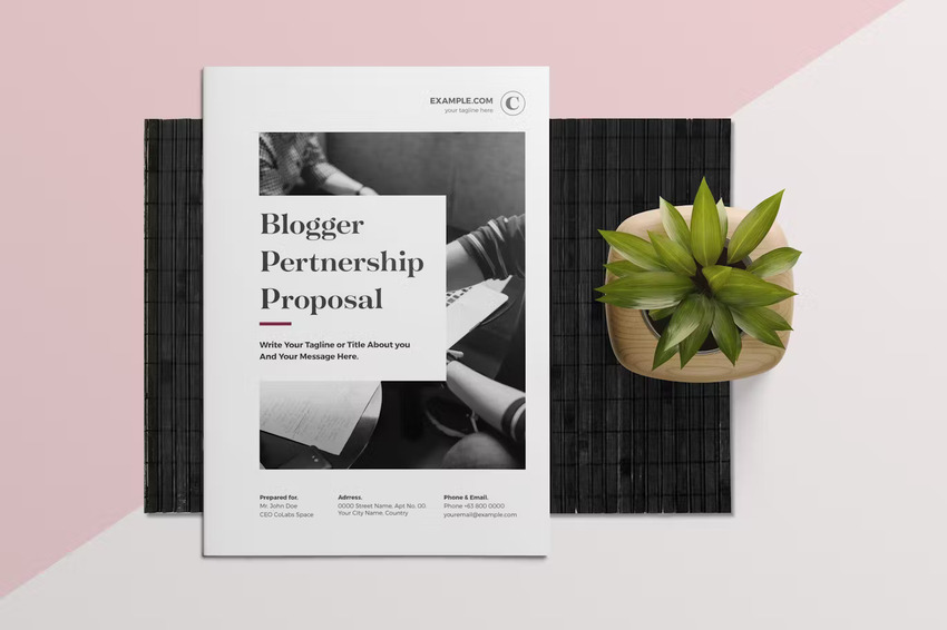Blogger Brand Proposal Template