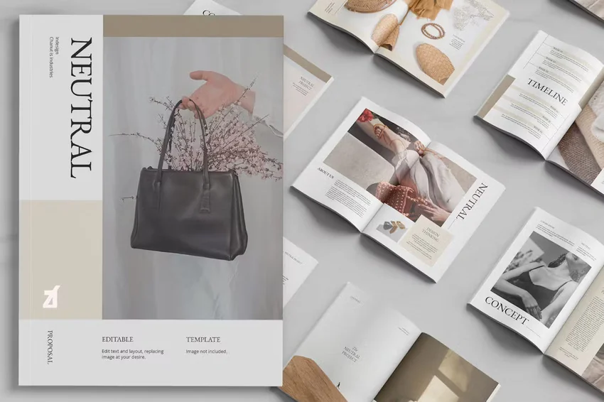 Neutral Graphic Design Proposal Example