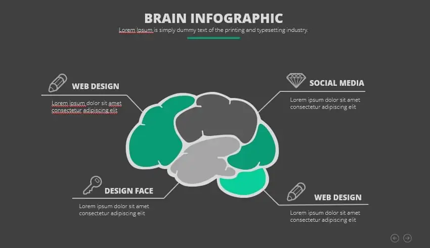brain infographic