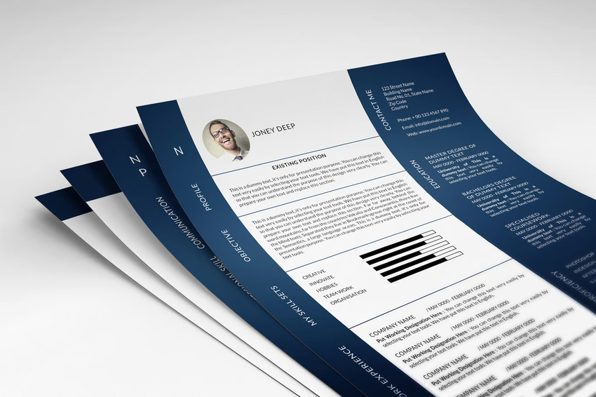 Two-column CV InDesign resume