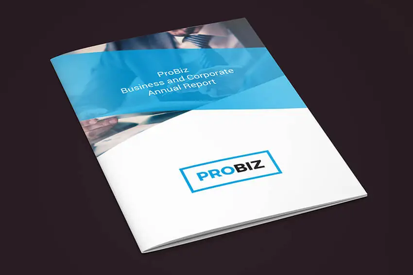 ProBiz Annual Report Template