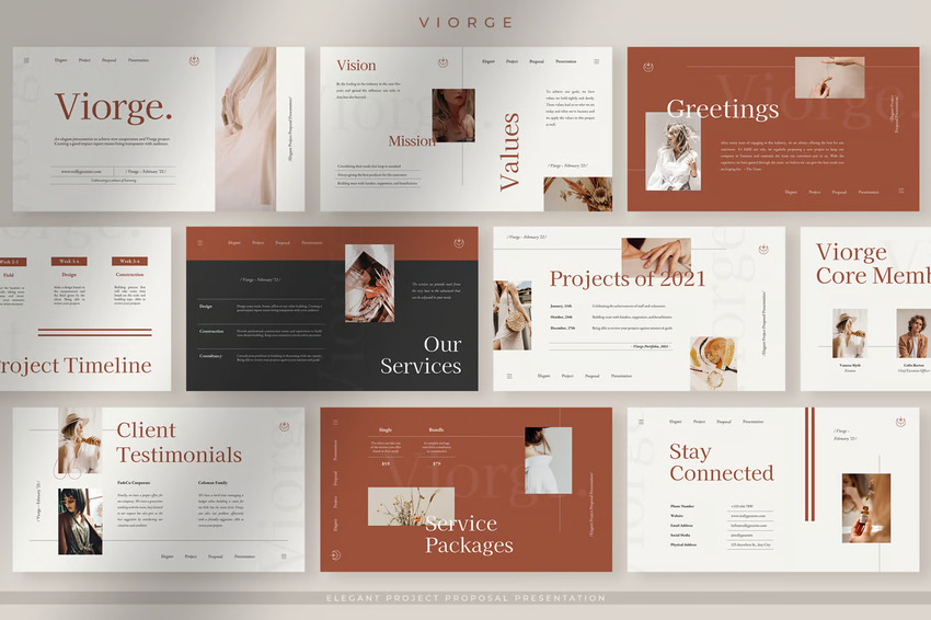 Viorge - Elegant Project Proposal Presentation PPT
