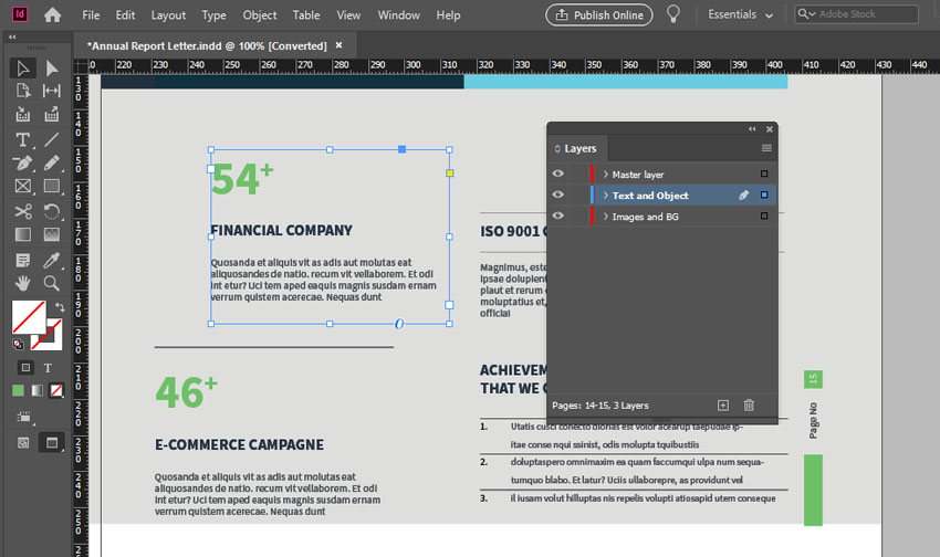 InDesign Selection Tool