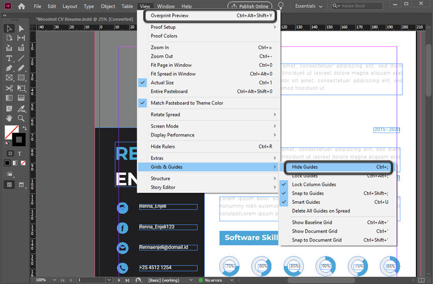Guides in Adobe InDesign