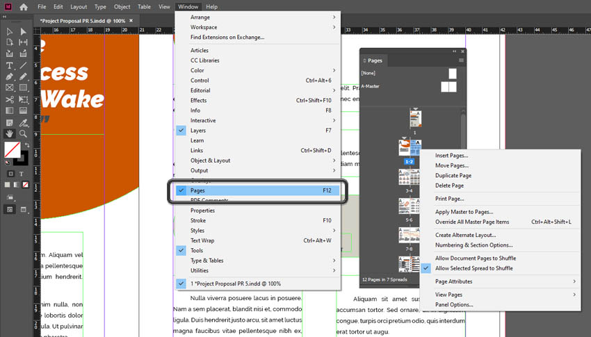 InDesign Pages