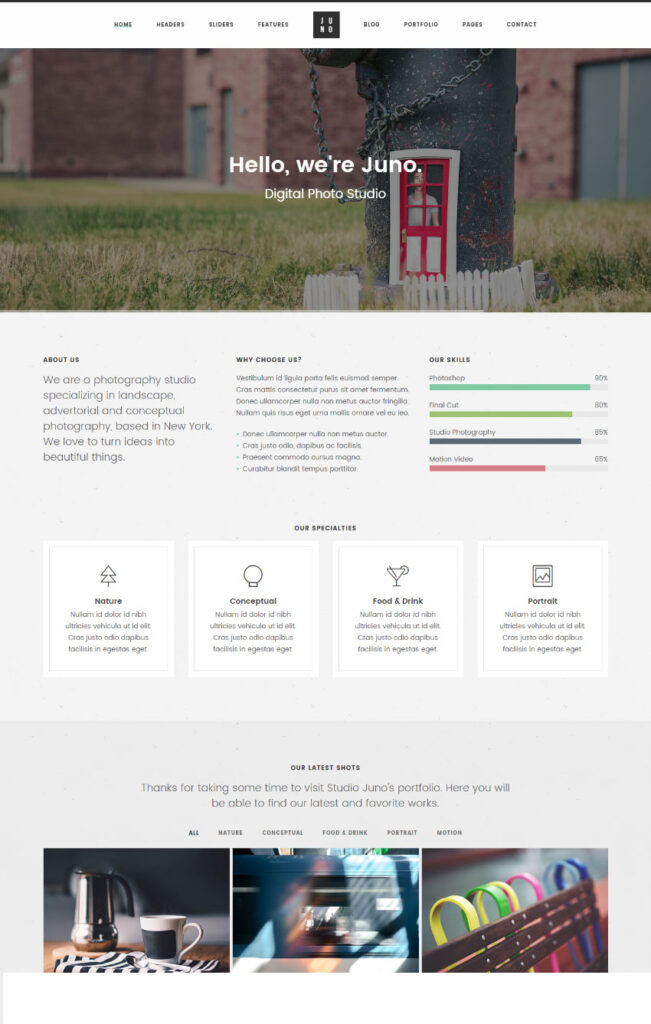 Juno - Magazine and Photography One Page Website Template