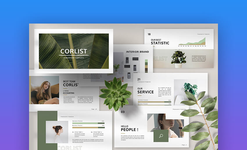 Pitch Deck Presentation