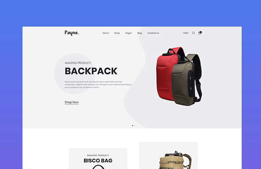 Payne landing page for digital products