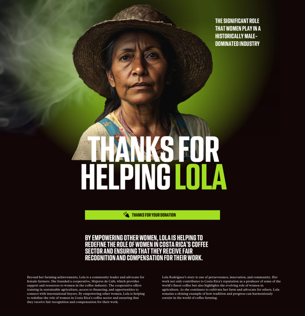 Donation process on website