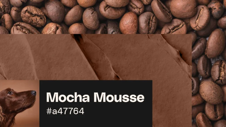 Indulge in Mocha Mousse: Your guide to the 2025 Pantone color
