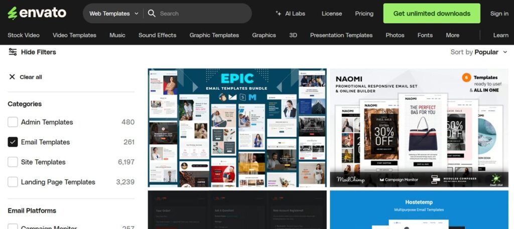 Envato email templates