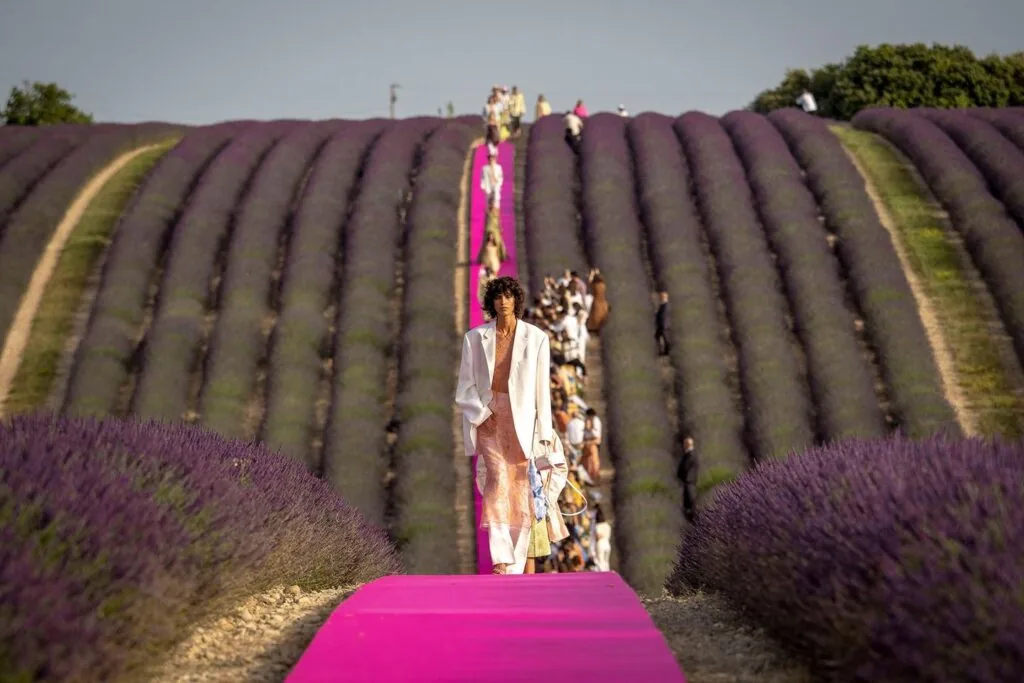 Jacquemus lavender design