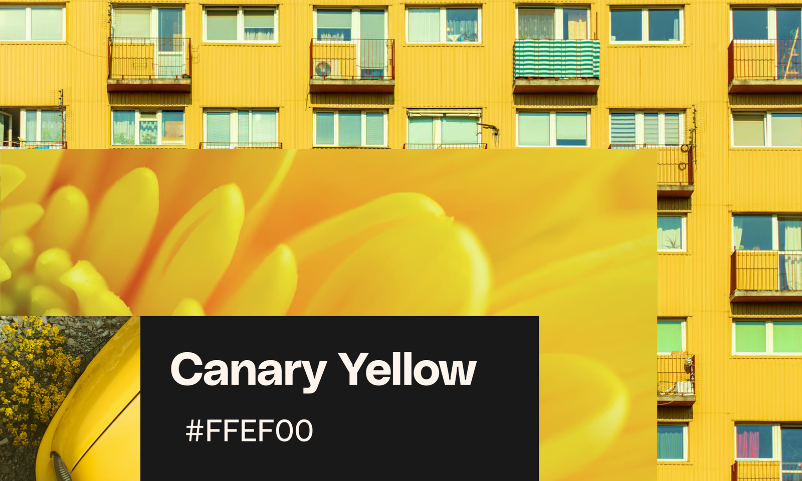 Canary yellow color trend