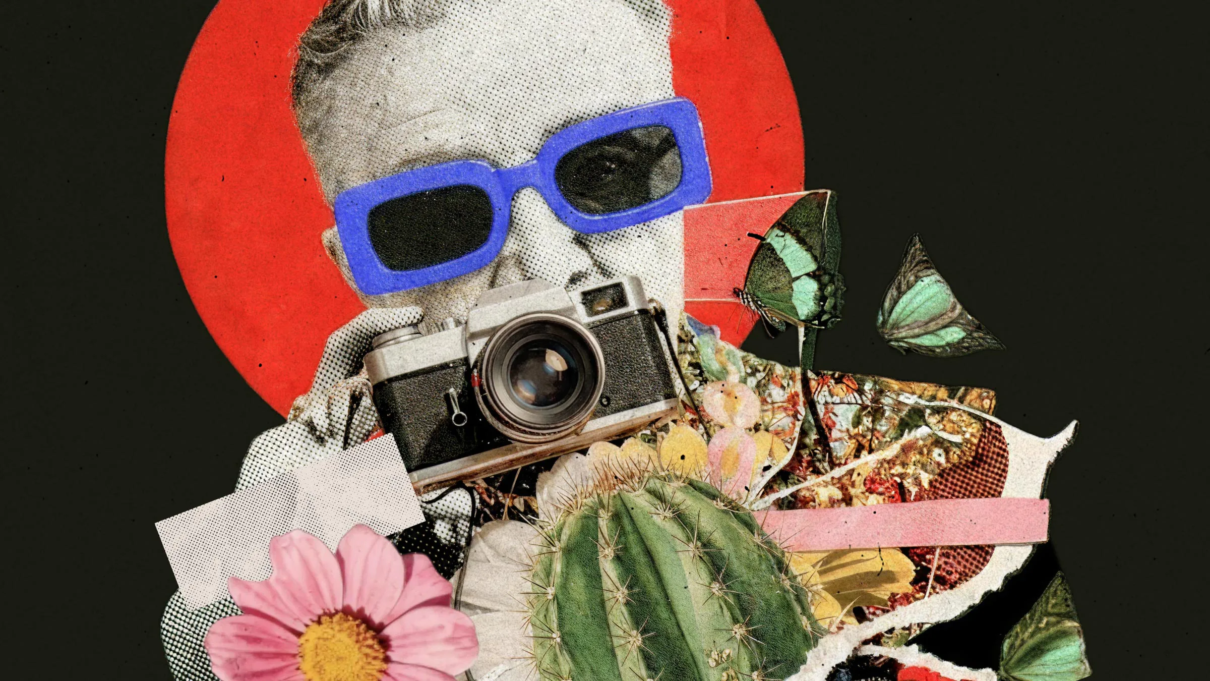Collage art of a person in blue sunglasses holding a camera, with a red circle background, pink flower, green cactus, and butterflies.