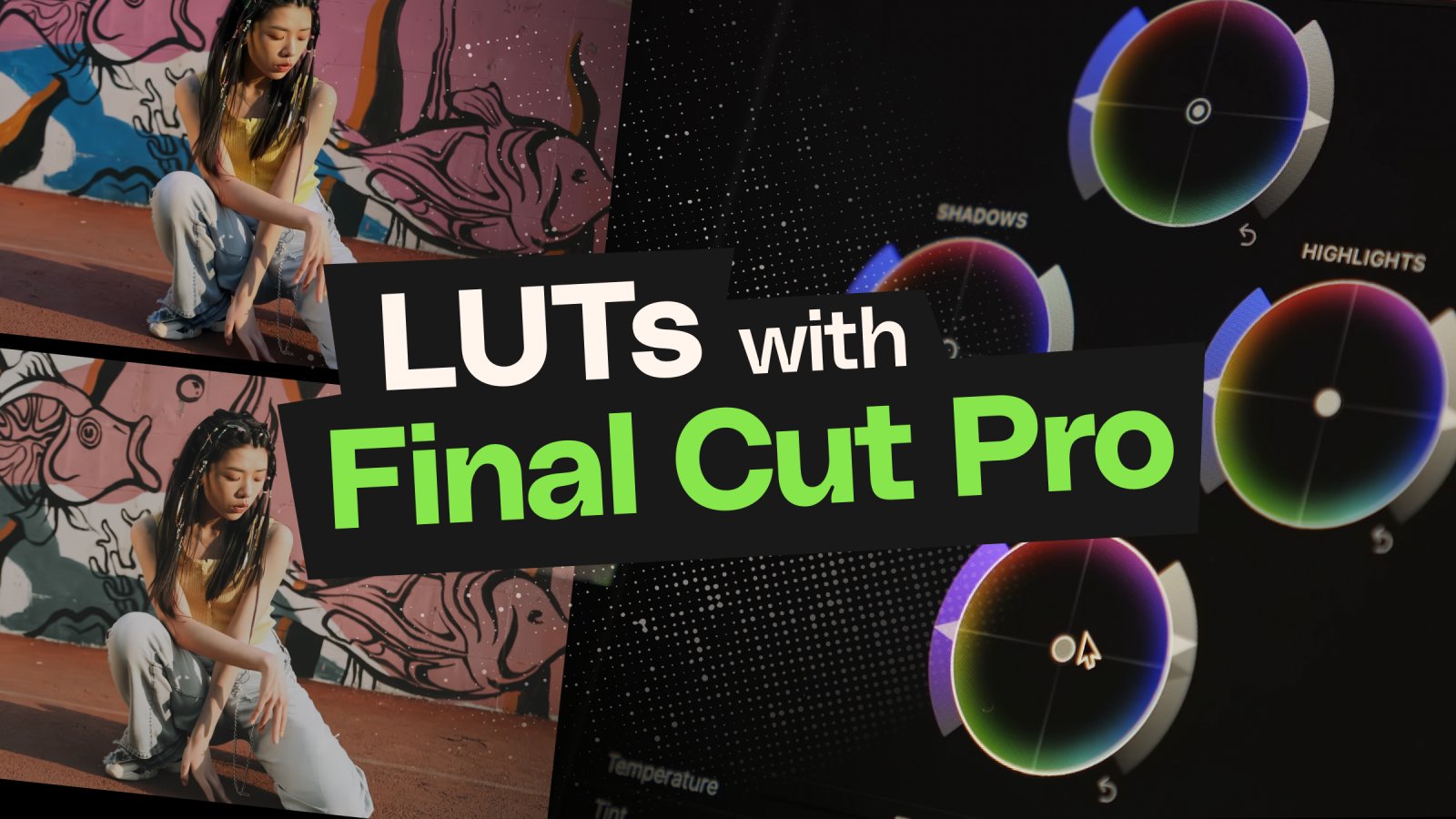 How to add LUTs in Final Cut Pro